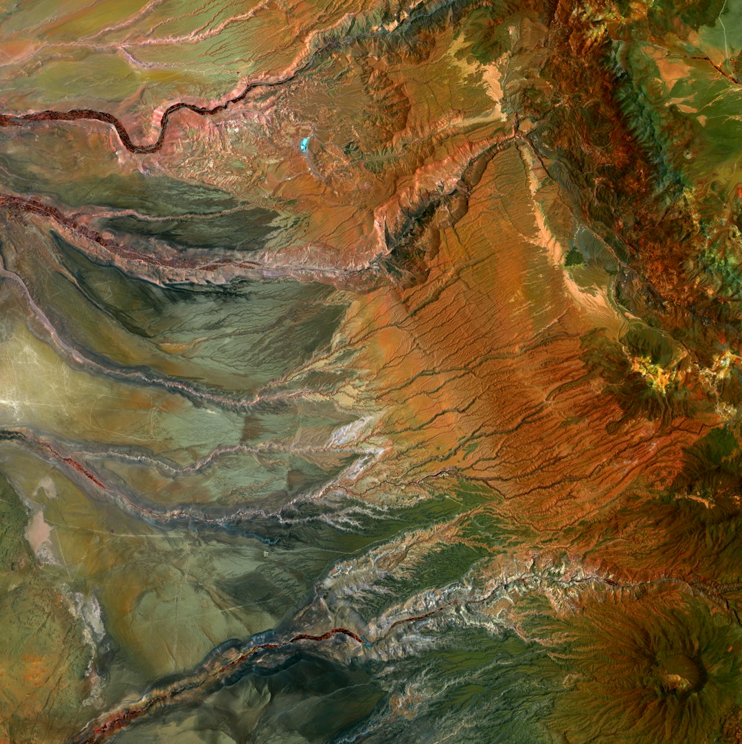 Universidad Politécnica de Madrid